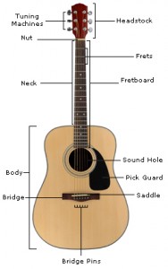 Parts of a Guitar - Learn the Guitar's Anatomy - Guitar Lesson World