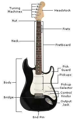 Parts of a Guitar - Learn the Guitar's Anatomy - Guitar Lesson World